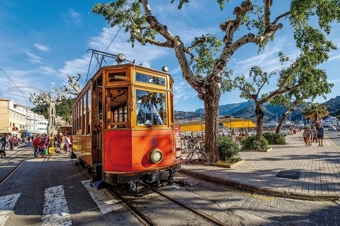 Scenic tour by Train, Tram and Boat through the lakes - Port de Sóller: A Fishermen’s Bay, a Waterfront Tram Ride, and Time to Breathe