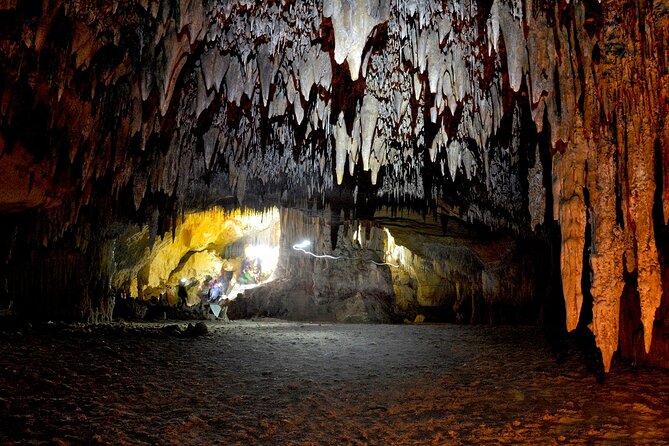 Sea Caving Excursion by Boat in Mallorca - Swimming, brief underwater entry, and rocky cave sections