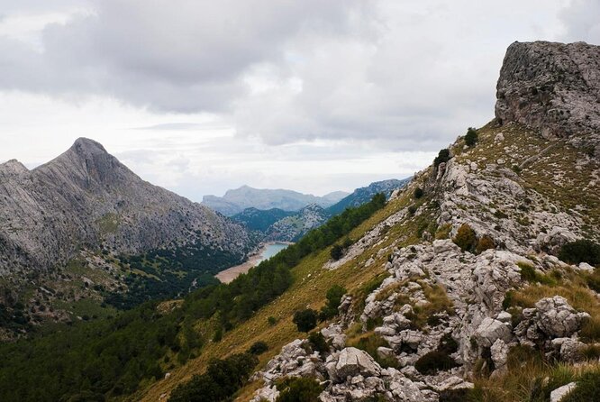 Small-Group Cliff Jumping Experience in Mallorca - Key things to know before you go