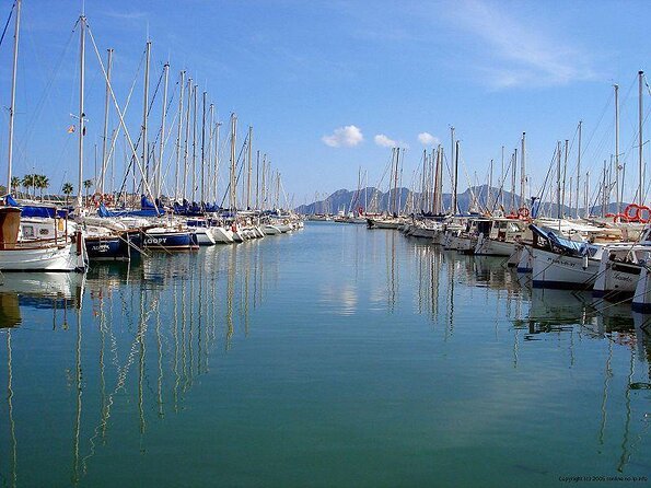 Sunrise Boat Trip in Mallorca with Dolphin-Watching - Key points to know before you go