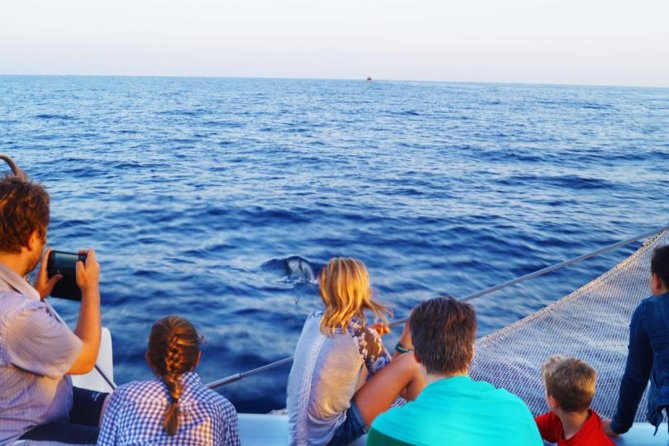 Sunrise Boat Trip in Mallorca with Dolphin-Watching - What this sunrise dolphin cruise is really about