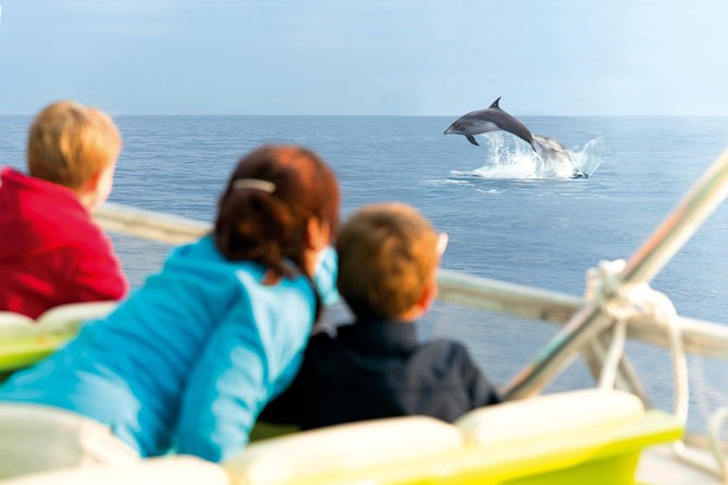 Sunrise Boat Trip in Mallorca with Dolphin-Watching - Meeting point in Alcúdia: show up ready for the day