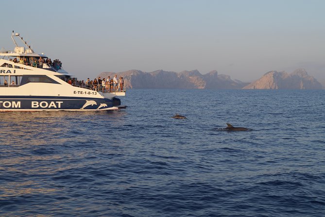 Sunrise Boat Trip in Mallorca with Dolphin-Watching - Stop at Port d’Alcúdia: the morning start and first sightings