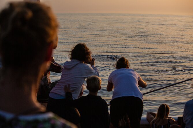 Sunrise Boat Trip in Mallorca with Dolphin-Watching - Cap de Formentor: when the engines go quiet