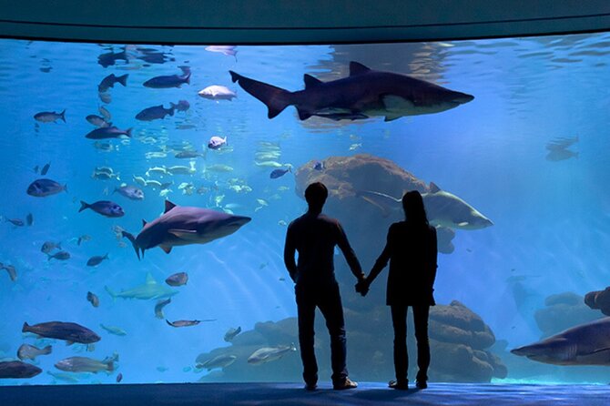 Ticket Palma Aquarium - Palma Aquarium in Palma de Mallorca: what the 3-hour visit feels like