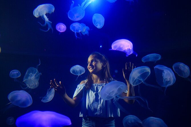Ticket Palma Aquarium - Crowds, noise, and why headphones actually help