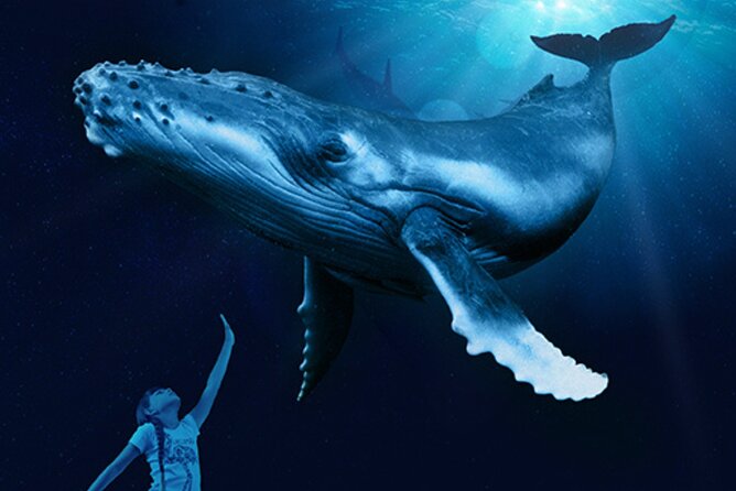 Ticket Palma Aquarium - Price value: is a $36.55 ticket worth it?