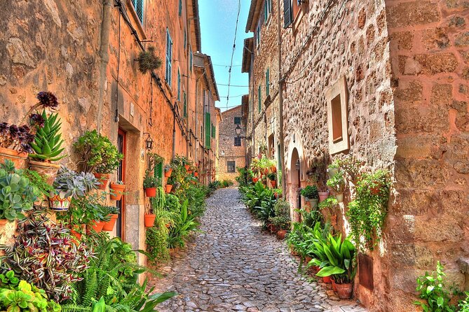 Valldemosa and Valley of Soller Tour in Mallorca - Pickup Points and Getting to the Right Bus at the Right Time