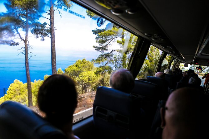 Valldemosa and Valley of Soller Tour in Mallorca - Can Prunera (Casa Modernista) and Quick Art Detours
