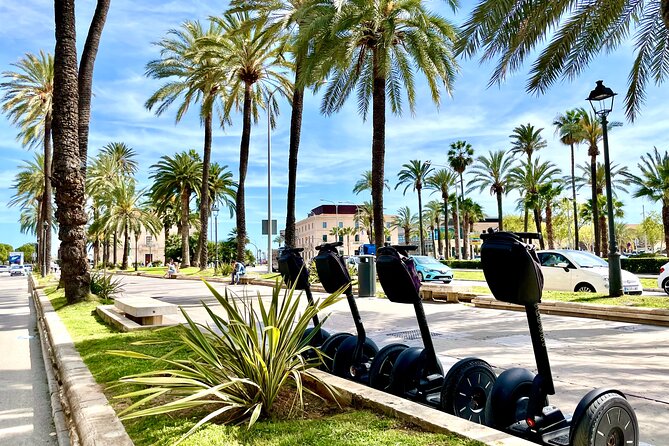 VIP Private Segway Tour of Palma - Royal Palace of La Almudaina: Power on a Short Ride
