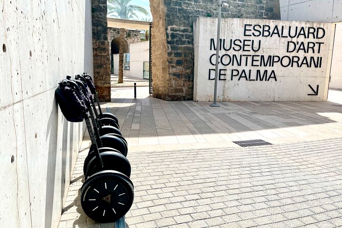 VIP Private Segway Tour of Palma - Plaça Cort and the Olivera de Cort Tree