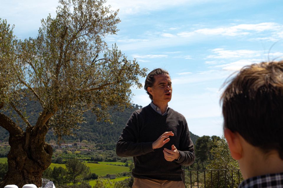 Visit of the olive grove, olive oil tasting and snack - Quick hits before you go
