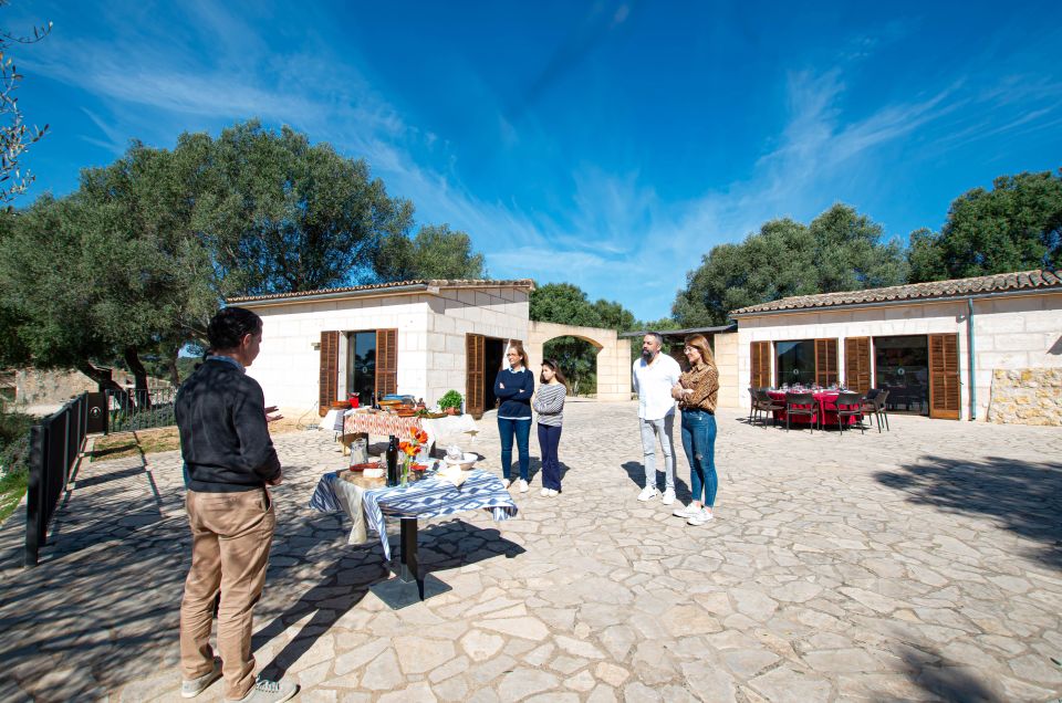 Visit of the olive grove, olive oil tasting and snack - The short grove stroll: views, olive health, and working in the field
