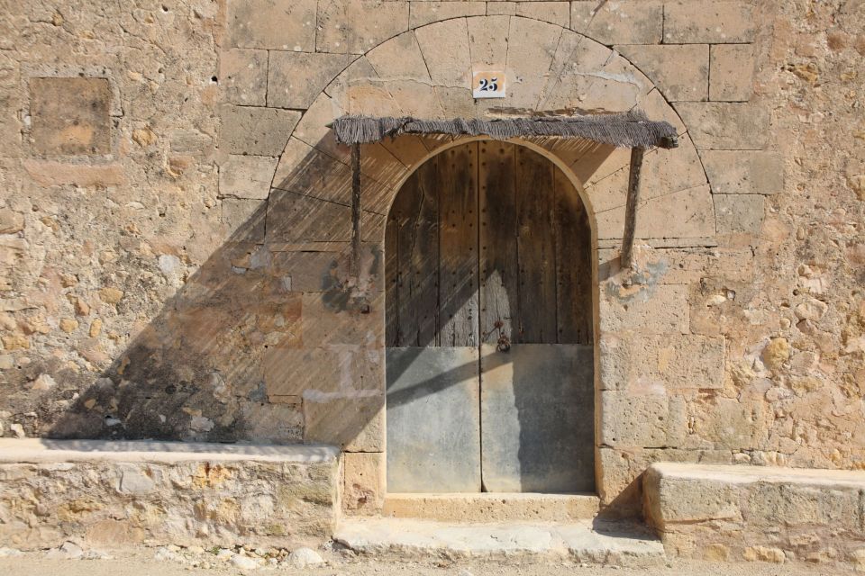 Visit of the olive grove, olive oil tasting and snack - The 30-minute class and tasting: learning to spot real EVOO
