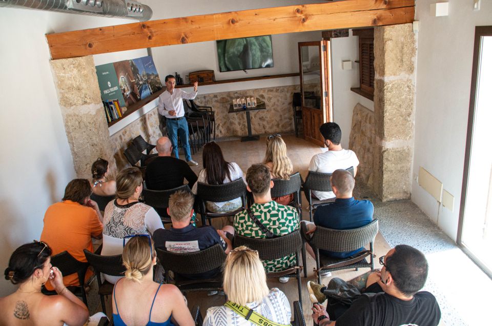 Visit of the olive grove, olive oil tasting and snack - The snack and wine pairing: where the oil becomes food