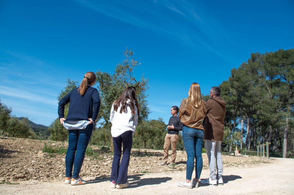 Visit of the olive grove, olive oil tasting and snack - Who this tour fits best (and who might skip it)